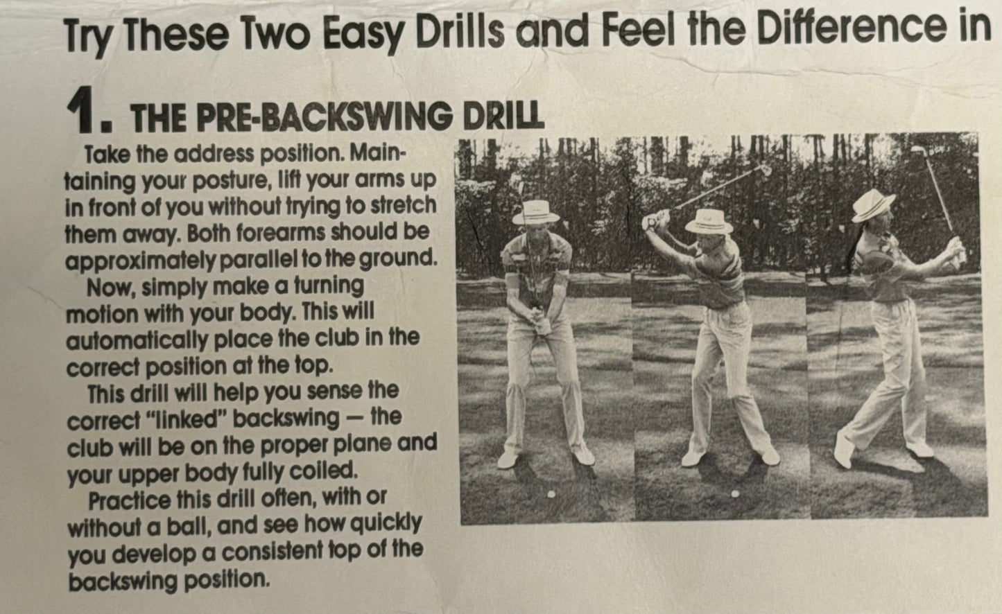 The Original Swing Link by David Leadbetter