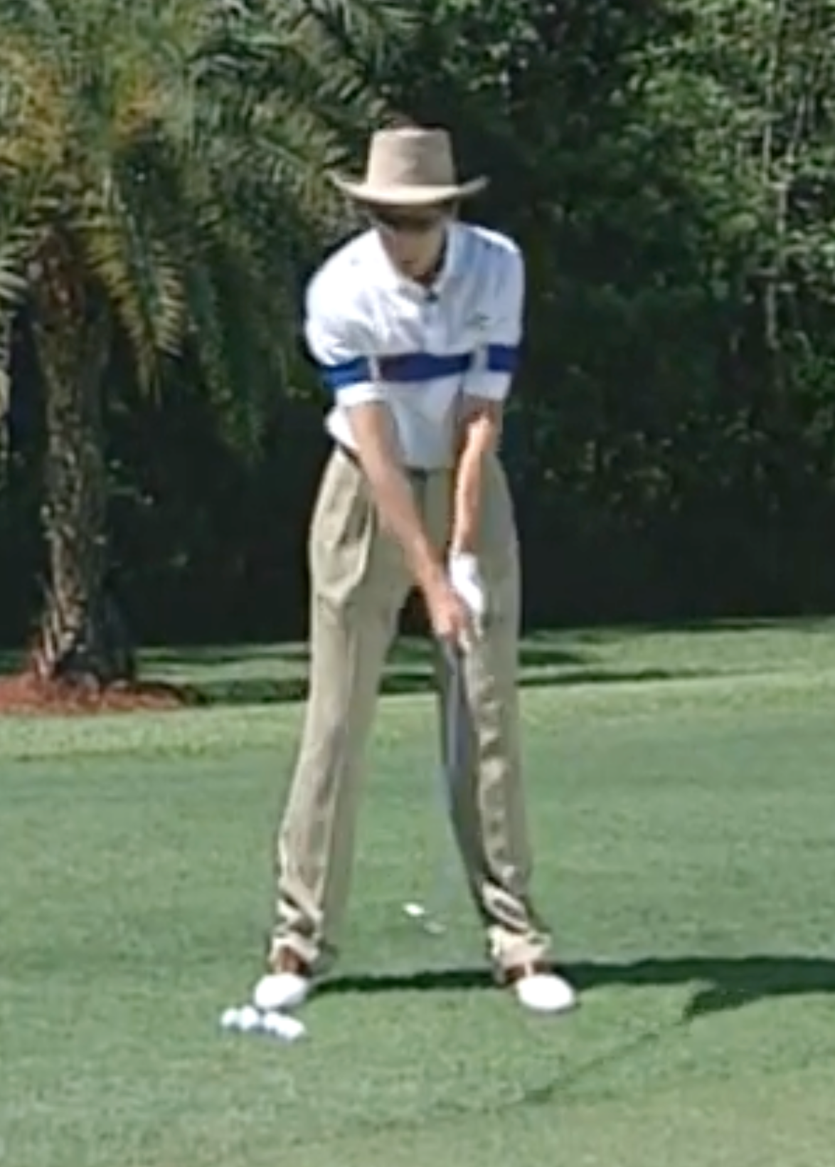 The Original Swing Link by David Leadbetter