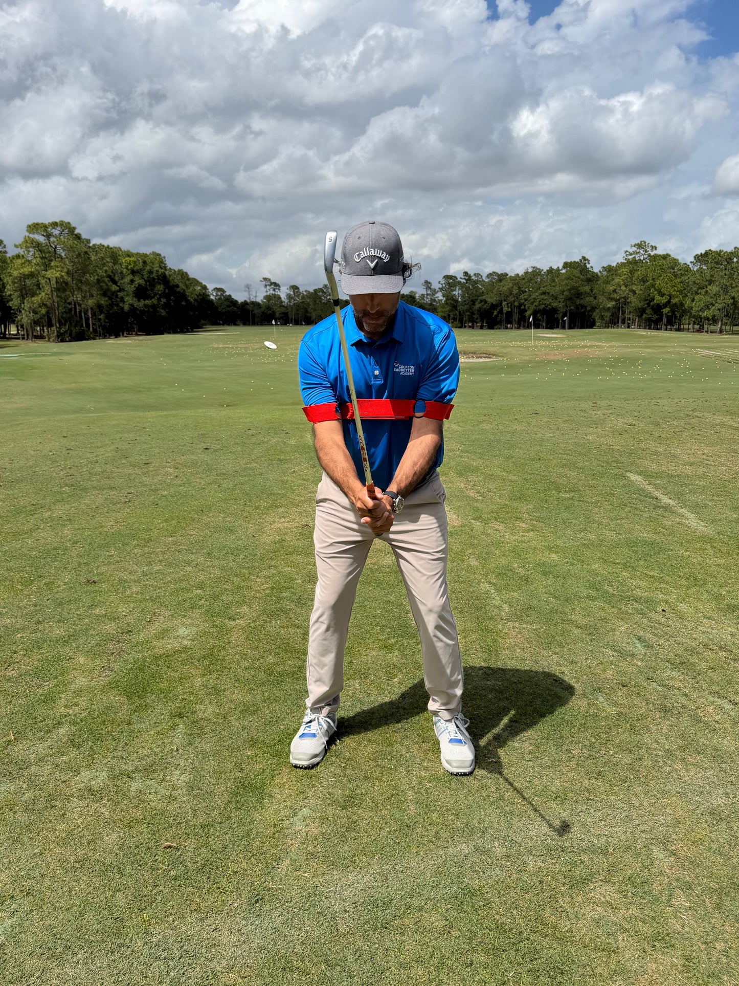 The Original Swing Link by David Leadbetter