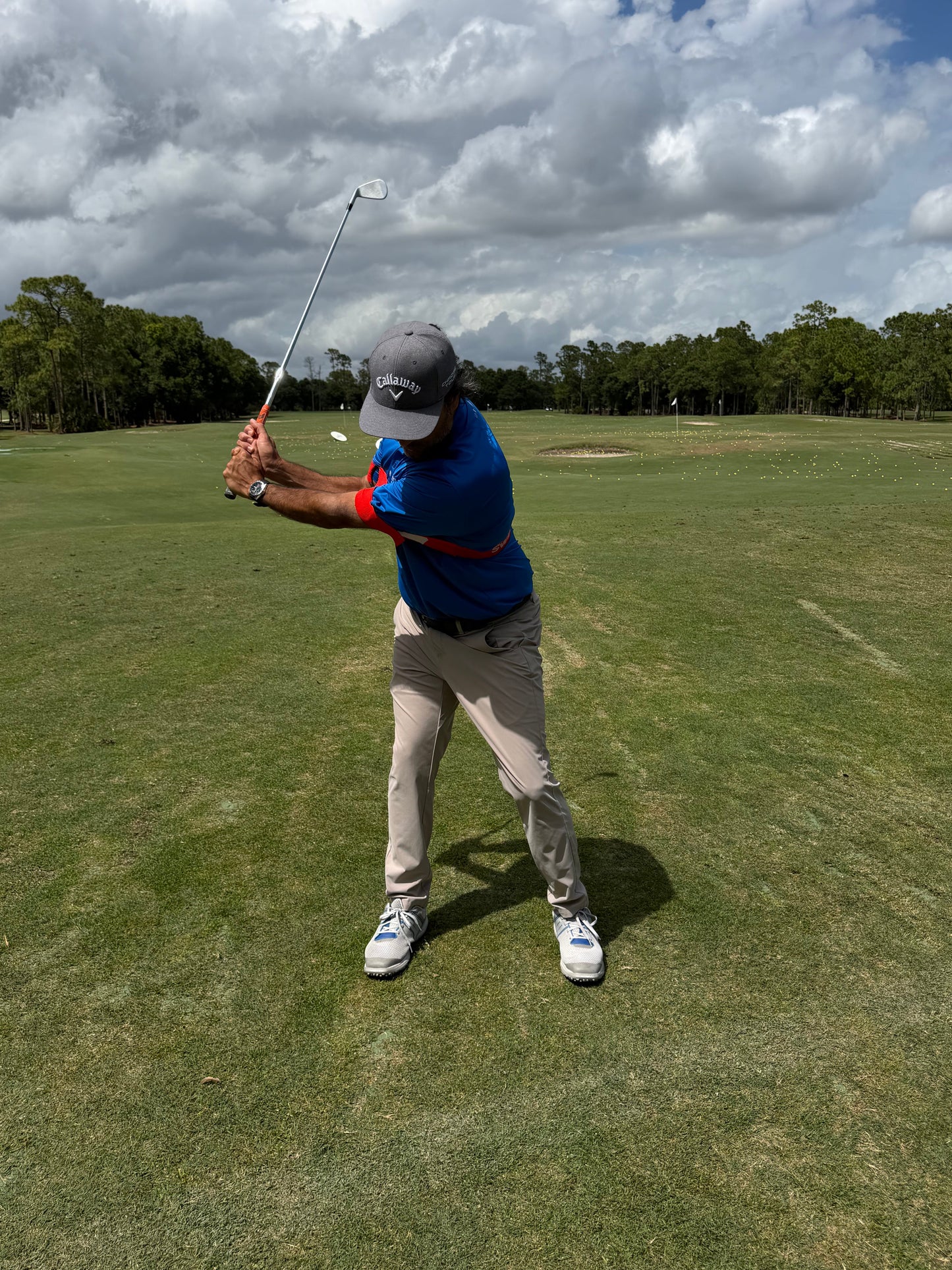 The Original Swing Link by David Leadbetter