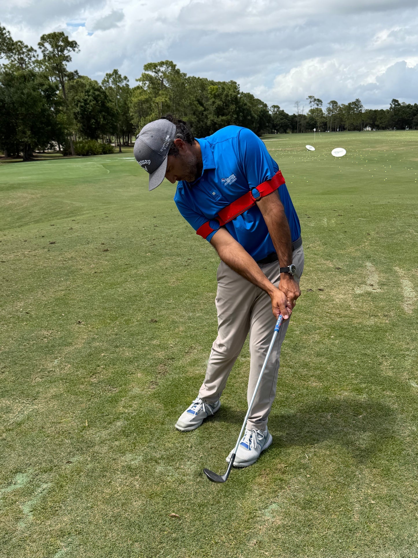 The Original Swing Link by David Leadbetter