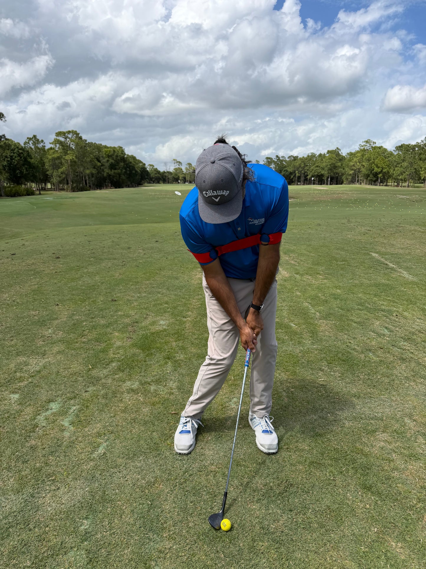 The Original Swing Link by David Leadbetter